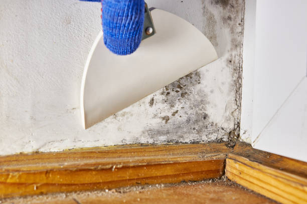 Best Indoor Air Quality Assessment  in Hansen, ID